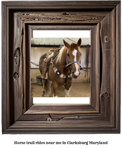 horse trail rides near me in Clarksburg, Maryland